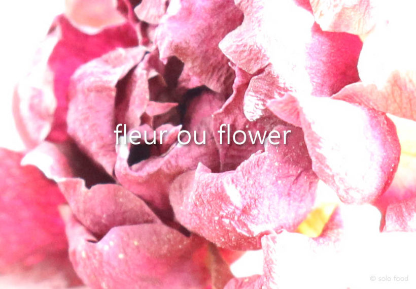 fleur #1