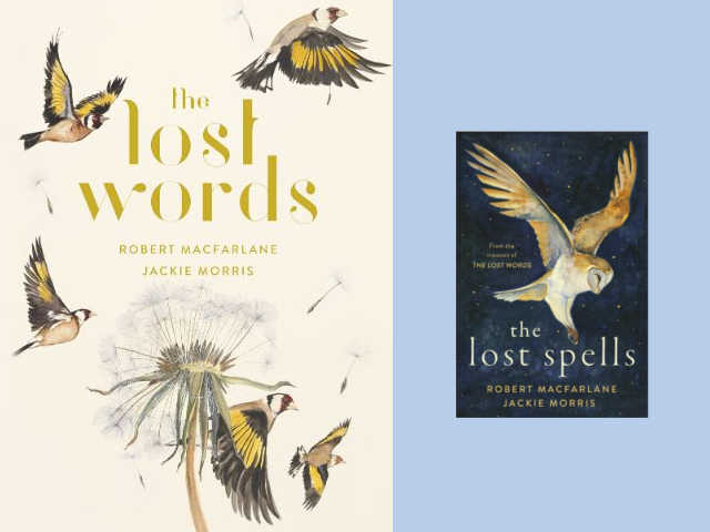 The books : the lost words & the lost spells