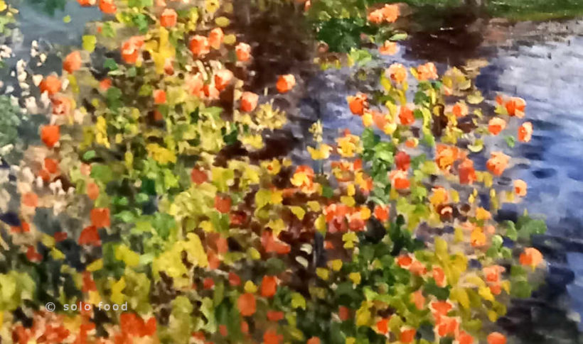 La collection Morozov - Monet - detail